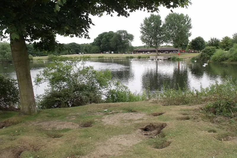 Nene Park and Ferry Meadows