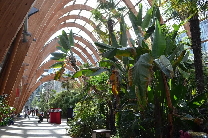 Winter Garden and Millennium Galleries