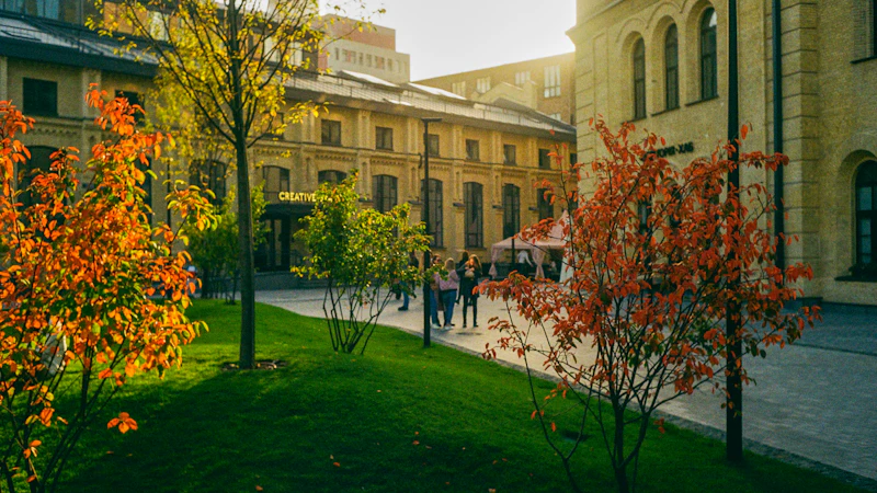 How UCAS Works — A Complete Guide for 2026 Entry